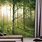 Large Forest Wall Murals