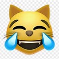 Laughing Cat with Hand Emoji Meme