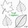 Leaf Craft Template