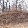 Leaf Pile Dover NH