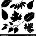 Leaf Vector Black White