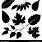 Leaf Vector Black White