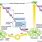 Light Reactions of Photosynthesis Diagram