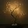 Light Tree Lamp