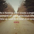 Life Is Fleeting Quote