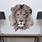 Lion Wall Decal