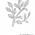 Line Drawings Tree Branch Leaves