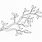 Line Drawing of Tree with Branches