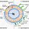 Lipid Vesicles