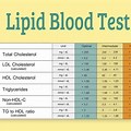 Lipids Blood Test Meaning