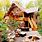 Log Cabin Landscape Ideas