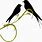 Love Birds On Branch Clip Art