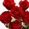 Love Roses Images