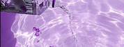 Purple Aesthetic Pictures Pinterest