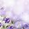 Purple Floral Funeral Background