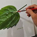 Painting Leaves Acrylic Realistic Close Up