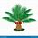 Palm Oil Tree Vector