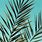 Palm Leaf Background