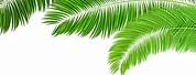 Palm Tree Leaf Clip Art