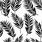 Palm Tree Leaf Pattern