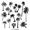 Palm Tree Line Art Vector