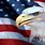 Patriotic Eagle American Flag