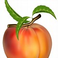 Peach Clip Art No Background