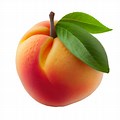 Peach Fruit Transparent Background