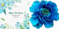 Peony Flower Clip Art Blue