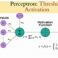 Perceptron Neuron Model