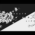 Philosophy Life and Death Wallpaper 4K