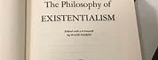 Philosophy of Existentialism in the Princess Bride