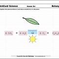 Photosynthesis Equation Worksheet