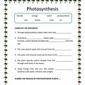 Photosynthesis Worksheet 4th Grade