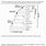 Phylogenetic Tree Worksheet