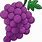 Picture of Grapes Clip Art