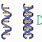 Picture of DNA and RNA