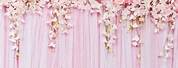 Pink Wedding Flowers Backdrop Background