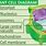 Plant Cell Organelles Chart