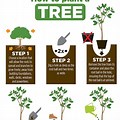 Planting Tree Plant Diagram