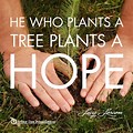 Planting Tree Quotes and Sayings