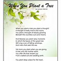 Poem About Planting a Tree