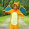 Pokemon Costume