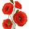 Poppy Flower Printable