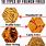 Potato Chips Types