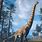 Prehistoric Kingdom Brachiosaurus