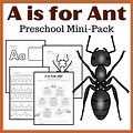 Preschool Activity Workbook Ant