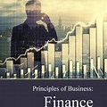 Principles of Business Finance PDF