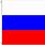 Russian Flag Small