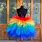 Rainbow Tutu Skirt